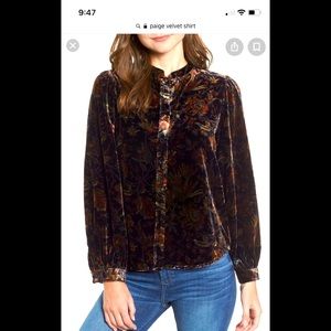 Paige velvet shirt with a great Victorian style fit